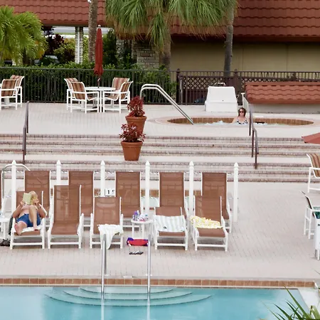 Magic Tree Resort-2