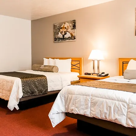 White Buffalo Hotel-2