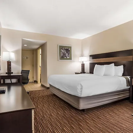 Best Western Oak Manor-2