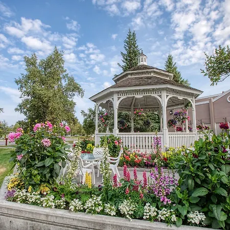 Wedgewood Resort-2