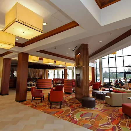 Marriott Memphis East-3