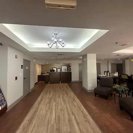 Spark By Hilton Tampa Brandon-3