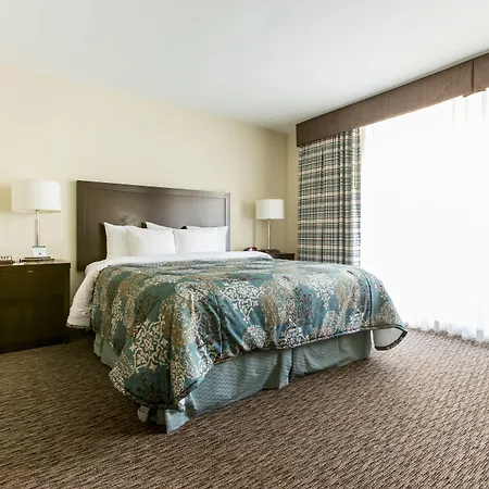 Royal Palace Westwood Hotel-2