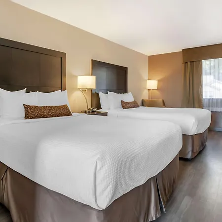 Best Western Inn Of Vancouver-3