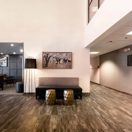 Oxford Suites Chico-2