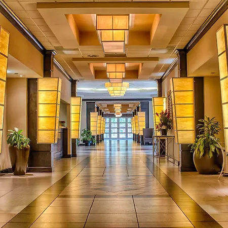 Hotel Capstone-2