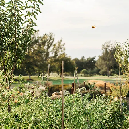 Temecula Creek Inn-3