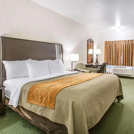 Comfort Inn Yosemite Area-2