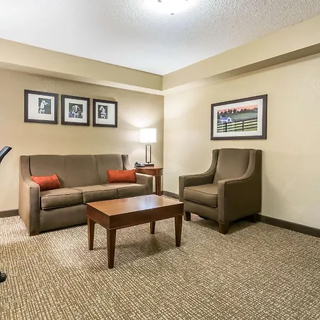 Comfort Inn & Suites Lexington - Hamburg I-75-3