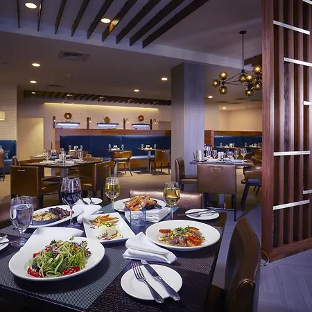 The Madison Concourse Hotel-2