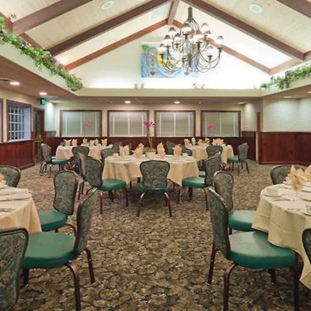 Holiday Inn Selma - Swancourt-3