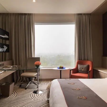 Sheraton New Delhi Hotel-2