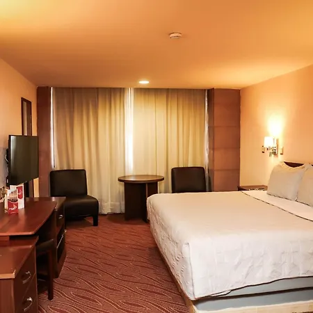 Hotel Real Plaza Aguascalientes-2