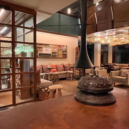 Hotel Boutique La Neu-3