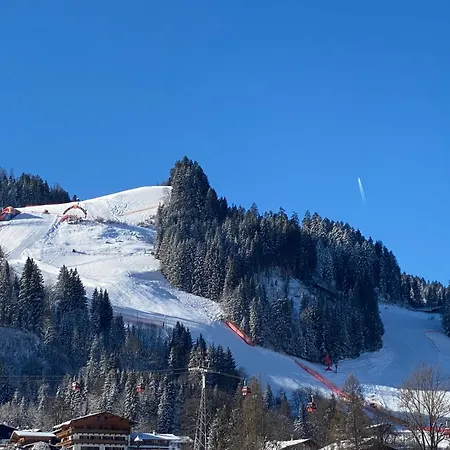 Hotel Edelweiss Kitzbühel-2