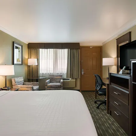 Best Western Holiday Hotel-2