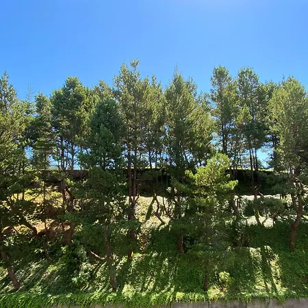 Best Western Plus Agate Beach Inn-3