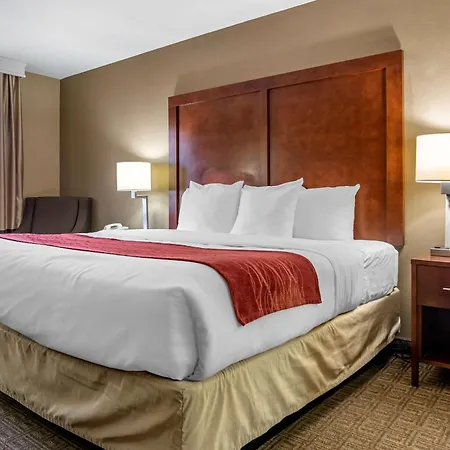 Comfort Inn & Suites Leeds I-20-2