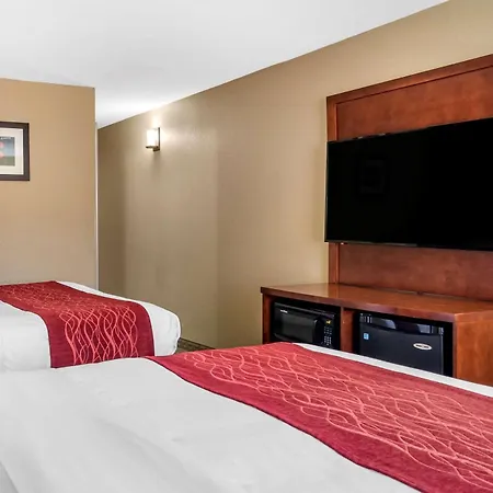 Comfort Inn & Suites Leeds I-20-3
