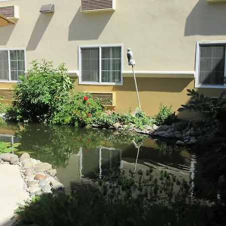 Comfort Inn Modesto-3