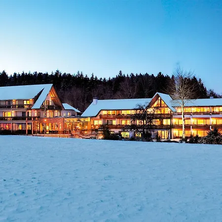Hotel Grüner Wald-3