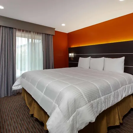 Hotel Vinea Healdsburg-2
