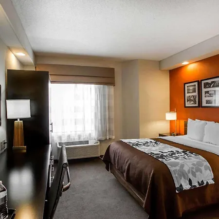 Sleep Inn Nashville - Brentwood - Cool Springs-3