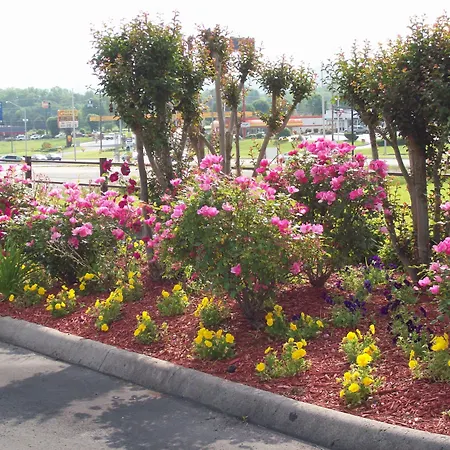 Quality Inn Clinton-Knoxville North-3