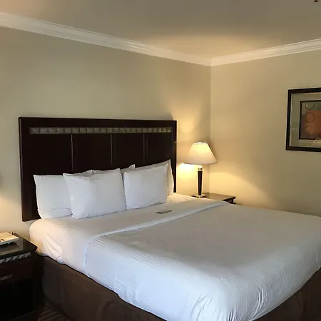 Oak Tree Inn-3