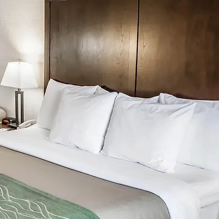 Comfort Inn Federal Way - Seattle-2