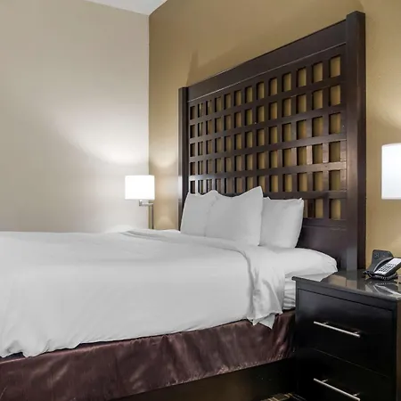 Comfort Inn Sherman - Denison Area-3