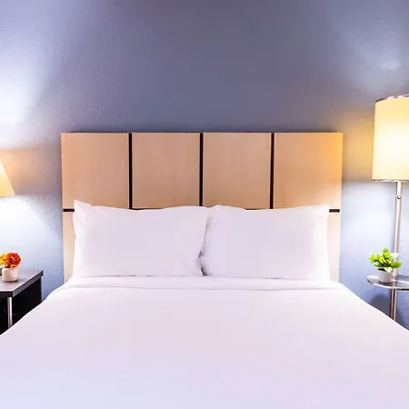 Sonesta Simply Suites Dallas Galleria-2
