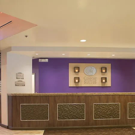 Comfort Suites Maingate East-2