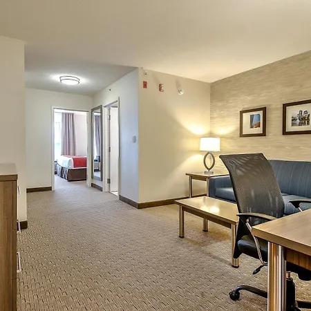 Comfort Inn & Suites South-3