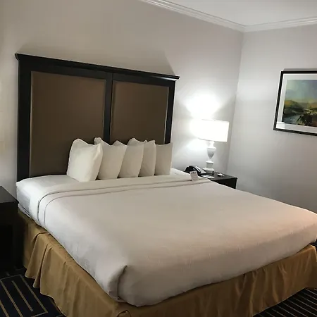 Best Western Plus Palm Court Hotel-2