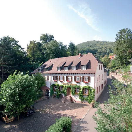 Die Hirschgasse Heidelberg-3