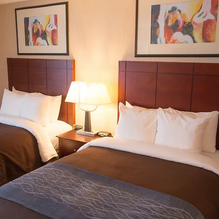 Comfort Inn Anderson South-2