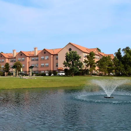 Homewood Suites By Hilton Houston-Woodlands-Shenandoah-2