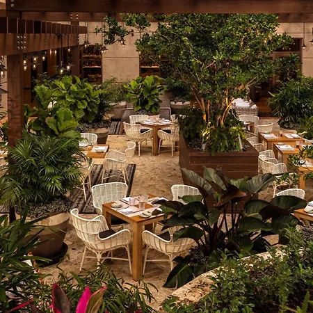 The Ritz-Carlton Coconut Grove, Miami-2