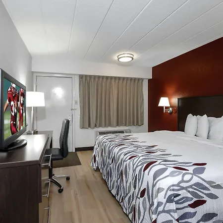 Red Roof Inn Cleveland - Medina-3