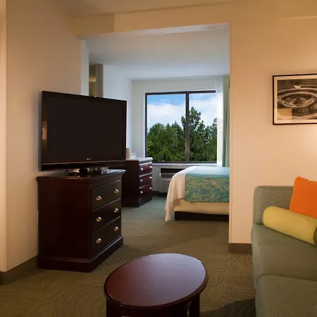Springhill Suites By Marriott Atlanta Buford/Mall Of Georgia-2