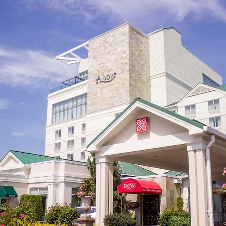 Hilton Garden Inn New York/Staten Island-3