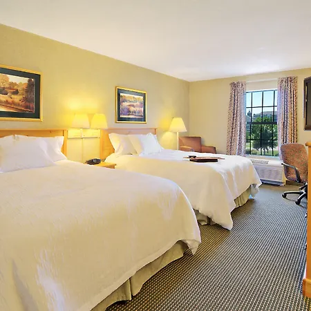 Hampton Inn & Suites Petoskey-3