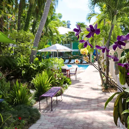 Almond Tree Inn - Adults Only-2