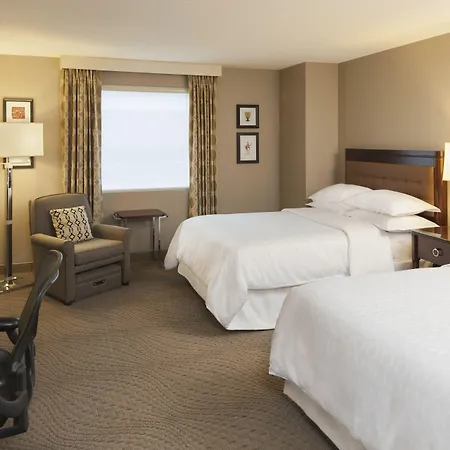 Sheraton Hotel Metairie New Orleans-3