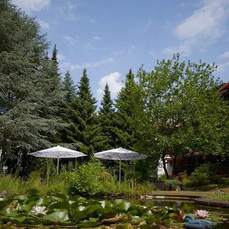 VitalHotel Ascona-2