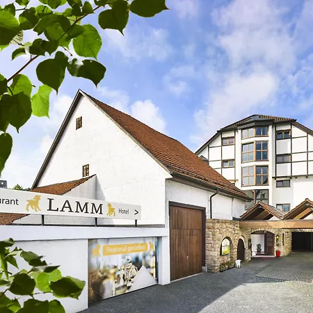 Hotel Lamm-3