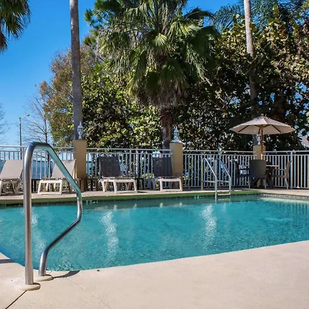 Comfort Suites Clearwater - Dunedin-2