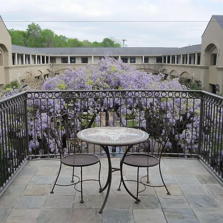 Vineyard Court Designer Suites Hotel-2