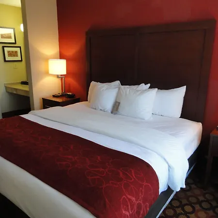 Concord Suites By Ihg-2